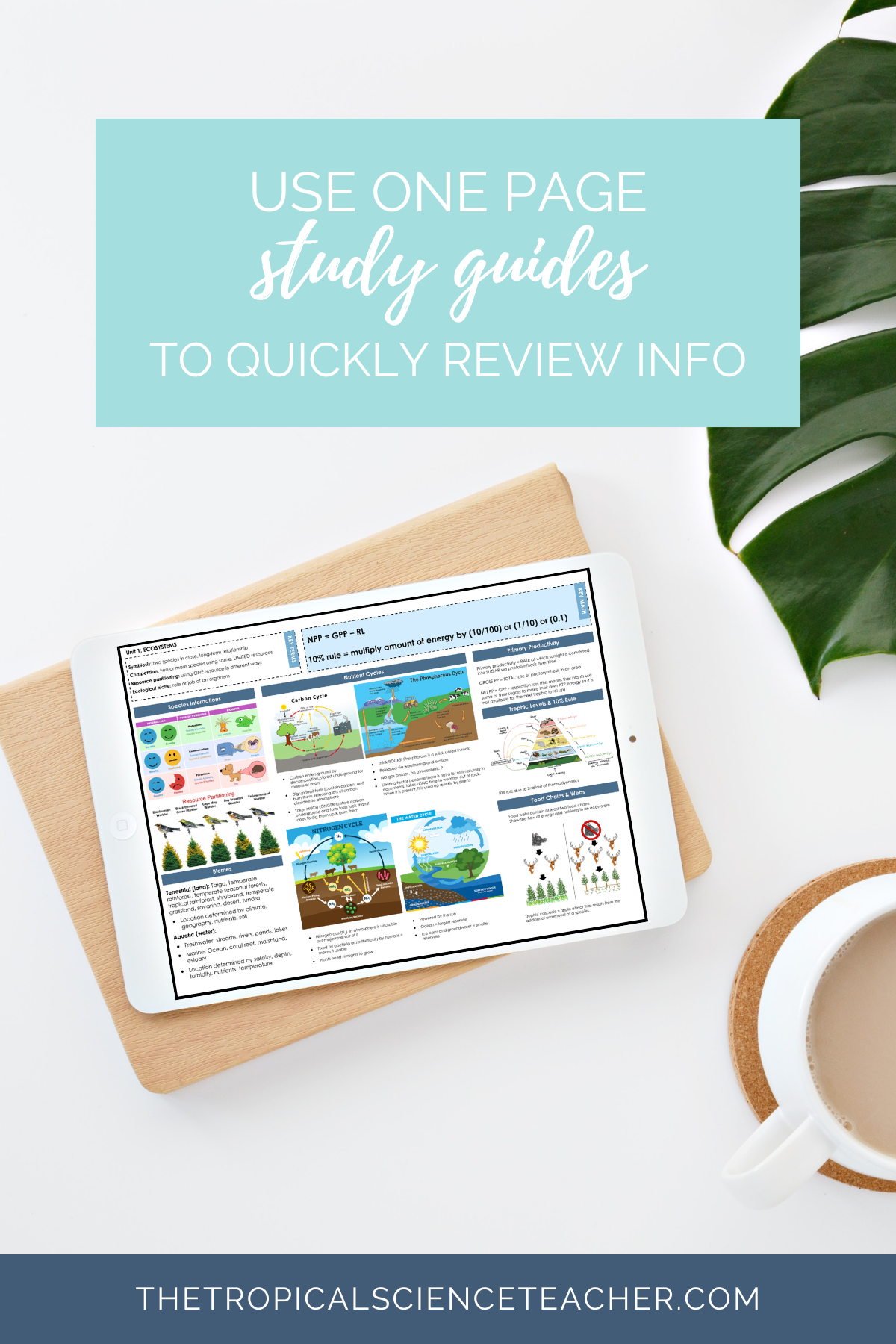 How To Help Students Master Content With A Study Guide For AP ...